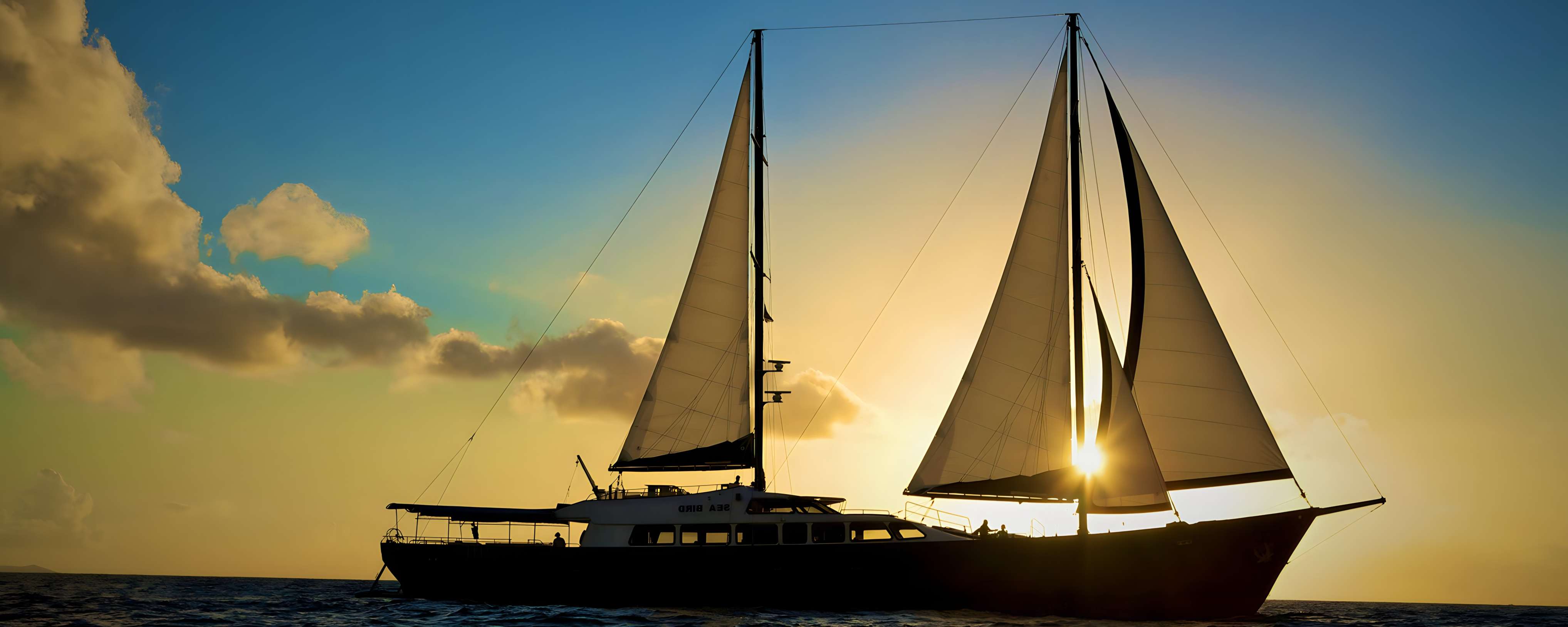 Silhouette Cruises