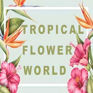 Tropical Flower World
