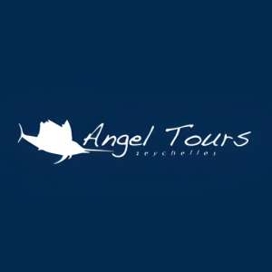 Angel Tours