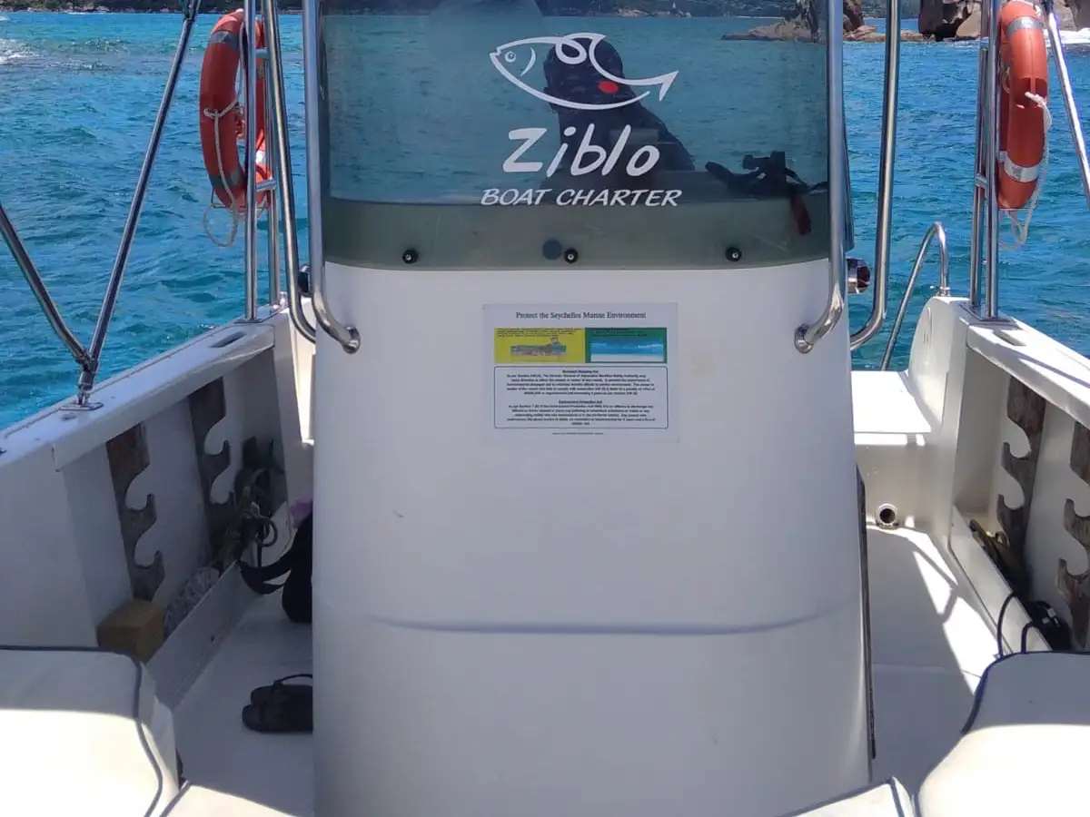 Ziblo — photo 6