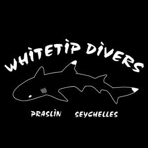 White Tip Dive Centre