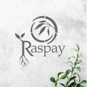 Raspay
