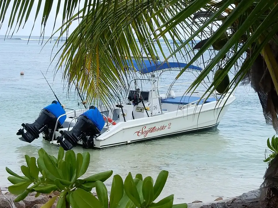 Sagittarius 2 — photo 5