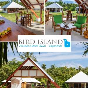 Bird Island