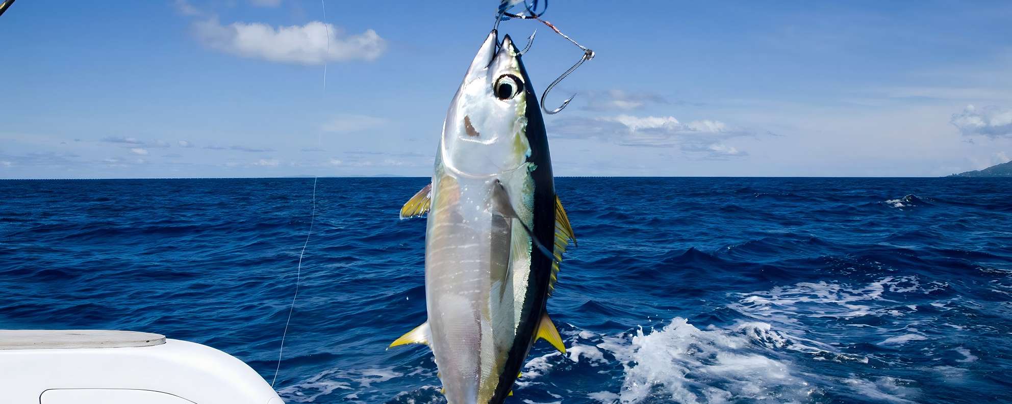 Seychelles Sea Fever Boat Charters & SF Marine