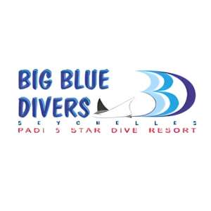 Big Blue Divers