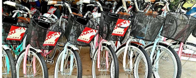Stan Bike Rental