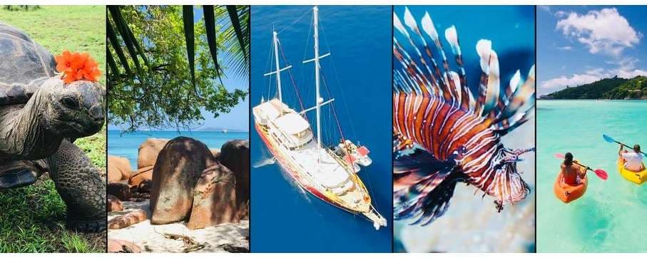 Galatea Diving Cruises Seychelles
